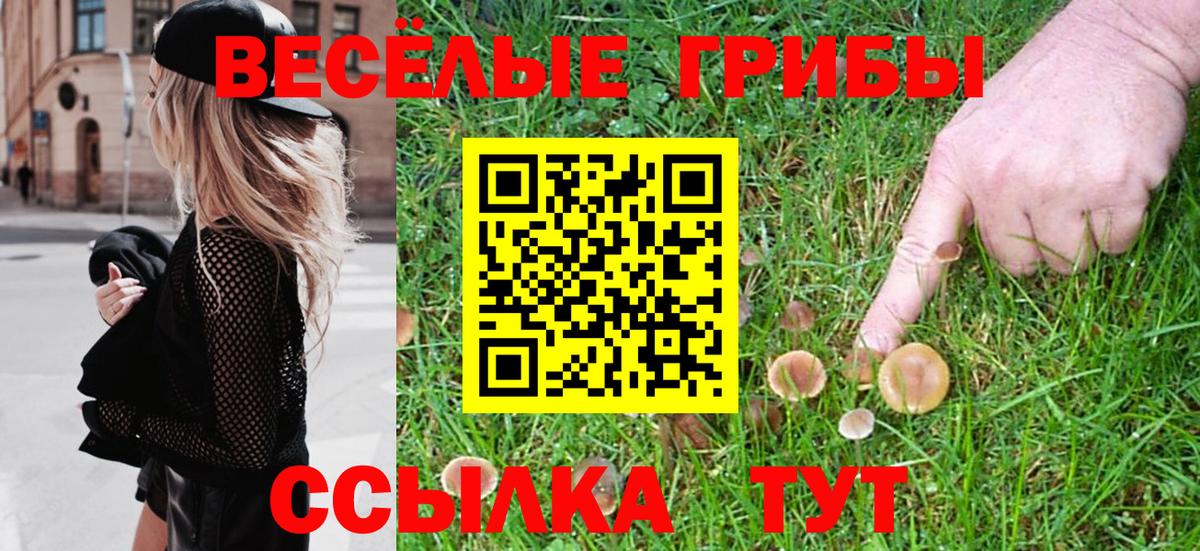 Губкинский  Псилоцибиновые грибы Magic Shrooms  Вход с VPN  Псилоцибиновые грибы прущие грибы 